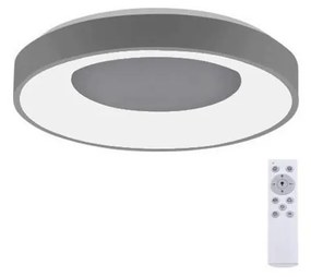 Leuchten Direkt 14326-18 - Lampada LED dimmerabile ANIKA LED/30W/230V + T
