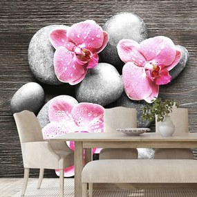 Carta da parati autoadesiva – Composizione Zen con orchidea