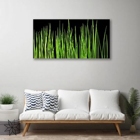 Quadro su tela L'erba La pianta 100x50 cm
