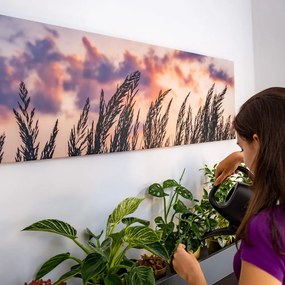 Quadro su tela – Spighe di erba lunga