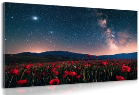 Quadro su tela – Prato di papaveri selvatici sotto le stelle