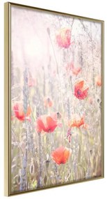 Poster  Poppies  Cornice Quadri Cornice d'oro, Larghezza x Altezza Home decor 20x30