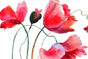 Stampa su tela – Fiori di papavero unici