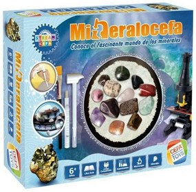 Gioco Educativo Minerals Cefatoys