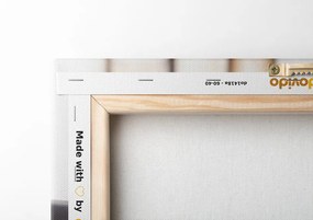 Quadro su tela – Natura morta benessere meditativa
