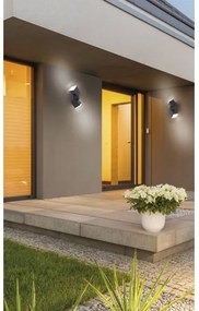 Paul Neuhaus 9722-13 - Applique LED da esterno RYAN 2xLED/5W/230V IP54