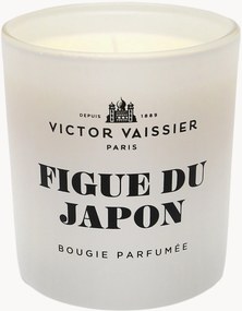 Candela profumata Figue Du Japon (fico nero & vetiver)