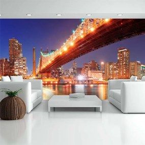 Fotomurale XXL  Queensborough Bridge  New York  Colore Grigio, Dimensioni e Misure 550x270