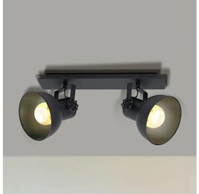Eglo 43432 - Luce Spot BARNSTAPLE 2 2xE27/40W/230V