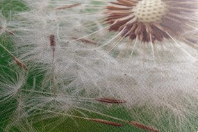 Quadro su tela – Semi di soffione