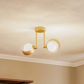 Euluna Plafoniera Mado, vetro opalino/ottone, 2 luci