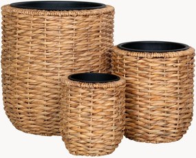 Set di 3 portavasi in giacinto d'acqua Hanoi