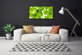 Quadro su tela Foglie di piante naturali 100x50 cm