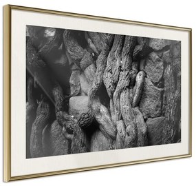 Poster  Strong Roots  Cornice Quadri Cornice d'oro con passe-partout, Larghezza x Altezza Home decor 90x60