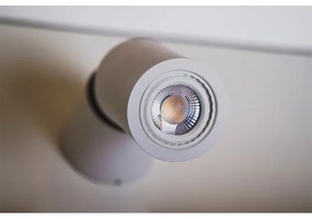 Azzardo AZ1479 - Luce Spot LINO 1xGU10/50W/230V