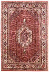 Bidjar Tappeto 300 x 200 Rosso (Indian) Annodato A Mano