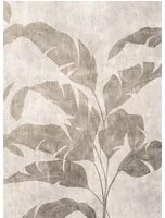 Coordonne Carta da parati panoramica Leaves Shadow Bamboo - Stone