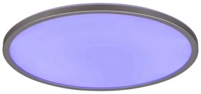 Rabalux 2290 - Plafoniera dimmerabile LED RGB RASMUS LED/22W/230V + telecomando