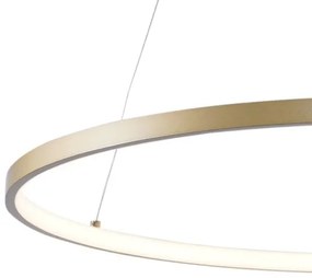 Zuma Line 2023201-GD80 - Lampadario LED su cavo BRENO LED/36W/230V 3000/4000/600