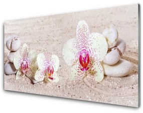 Quadro in vetro Orchidea di sabbia 100x50 cm