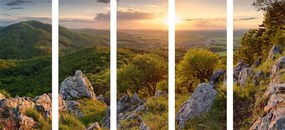 Quadri 5 pezzi – Natura baciata dal sole