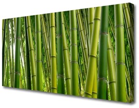 Quadro su tela Foresta di bambù Germogli di bambù 100x50 cm