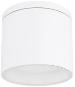 Globo 32063W - Plafoniera da esterno ALCALA 1xGX53/11W/230V IP44