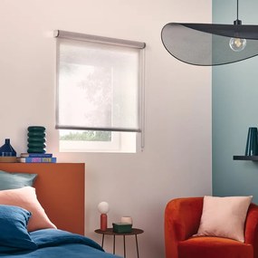 Tenda a rullo filtrante INSPIRE Nagles grigio / argento 65x190 cm