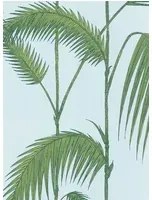 Palm Leaves - Designtapete von Cole and Son - Hellblau/ Grün