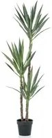 Emerald Yucca Artificiale 150 cm in Vaso 435916