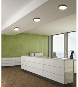 Globo 12368-30 - Plafoniera LED LUCENA LED/28W/230V