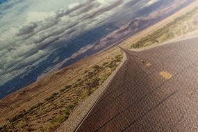 Stampa su tela – Sentiero nel deserto