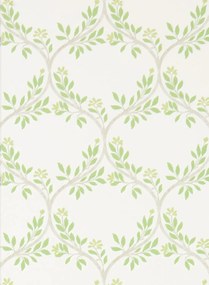 Nina Campbell Tapete Arber - Green