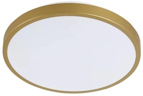 Plafoniera LED KERN LED/15W/230V d. 29 cm