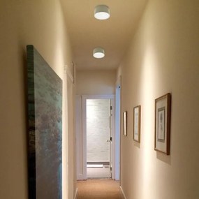 LED2 - Plafoniera LED BUTTON LED/17W/230V argento