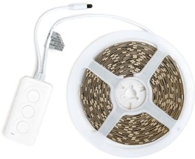 Aigostar - Striscia LED RGBIC dimmerabile 10 m LED/24W/24V + telecomando Wi‑Fi