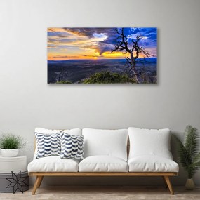 Foto quadro su tela Albero al tramonto 100x50 cm