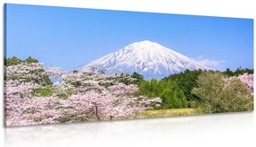 Quadro su tela – Monte Fuji