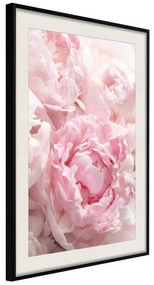 Poster  Abundance of Flowers  Cornice Quadri Cornice nera con pass-partout, Larghezza x Altezza Home decor 20x30