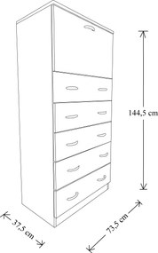 Cassettiera con anta a ribalta e 5 cassetti in legno 74x145h cm Multicolor