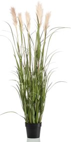 Erba Della Pampa Artificiale İn Vaso 160 Cm /