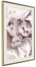 Poster  Tangled in Sweater  Cornice Quadri Cornice d'oro con passe-partout, Larghezza x Altezza Home decor 20x30