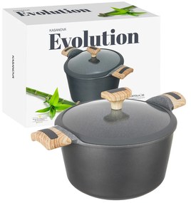 Pentola 22 cm con coperchio Evolution