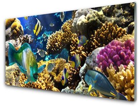 Quadro su vetro acrilico Natura della barriera corallina 100x50 cm