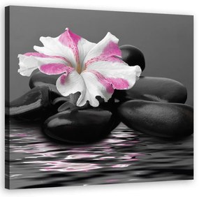 Quadro su tela, Stones Pink Flower Zen  Dimensioni Tappeti 30x30