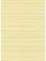 Élitis Carta da parati Kosa Silk - VP 928 20