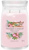 Desert Blooms, candela giara grande Yankee Candle