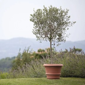 Vaso per piante e fiori CONCA in terracotta terracotta H 45 cm Ø 56 cm