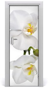 Poster adesivo per porta Orchidea bianca 75x205 cm