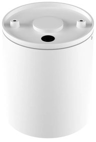 Applique da soffitto Cilindrica PAR30 IP54 in Alluminio e Vetro - Bianca